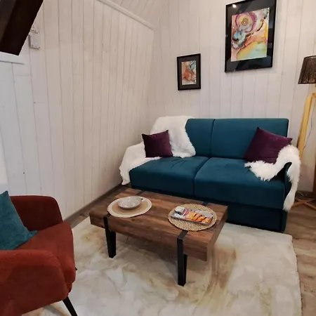 Apartment T1 Lumineux-centre