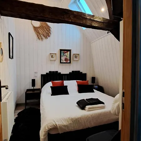 Apartment T1 Lumineux-centre