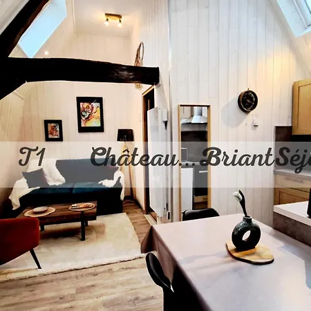 T1 Lumineux-centre Apartment *