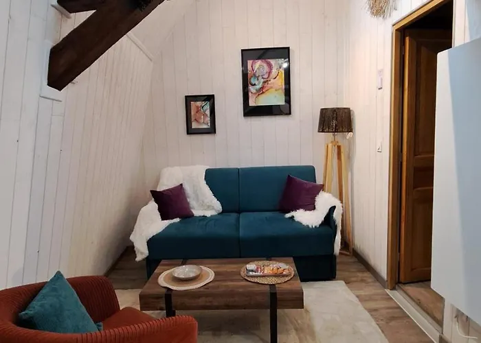 T1 Lumineux-centre Appartement